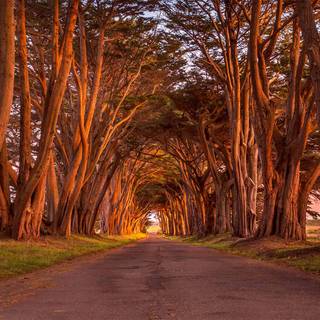 Point Reyes California wallpaper