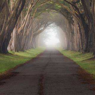 Point Reyes California wallpaper