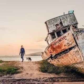 Point Reyes California wallpaper