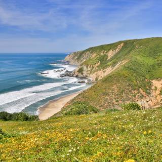 Point Reyes California wallpaper