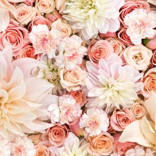 Pink pastel spring wallpaper