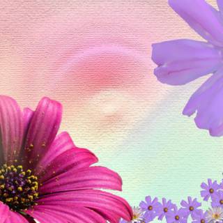 Cute purple spring wallpaper