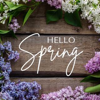 Cute purple spring wallpaper
