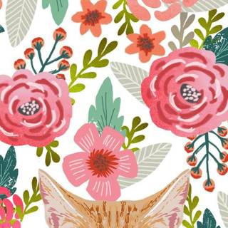 Spring cat art wallpaper