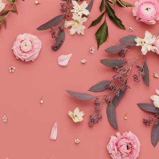 Pink aesthetic spring wallpaper