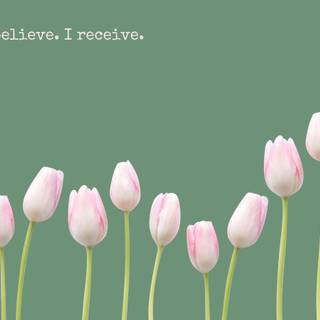 Pink aesthetic spring wallpaper