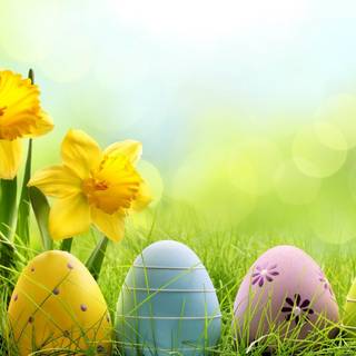 Cute Easter yellow wallpaper