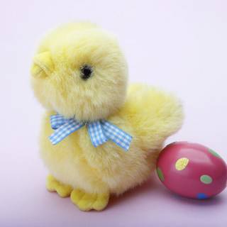 Baby chick and easter eggs wallpaper