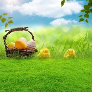 Baby chick and easter eggs wallpaper