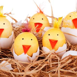 Cute Easter yellow wallpaper