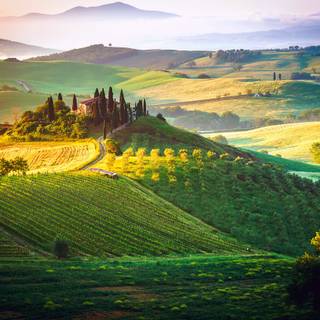 Cottage dream wallpaper