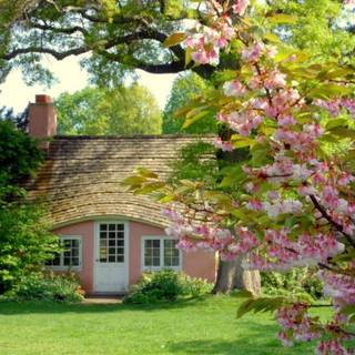 Cottage dream wallpaper