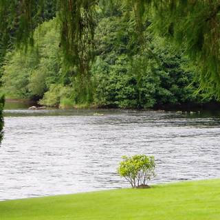 Lakeside view wallpaper