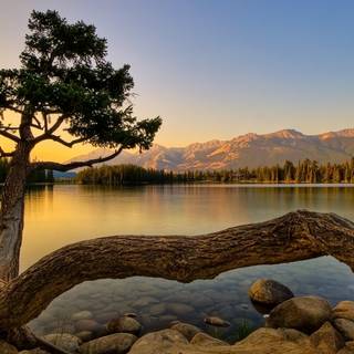 Lakeside view wallpaper