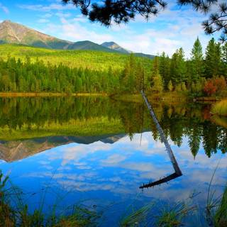 Lakeside view wallpaper