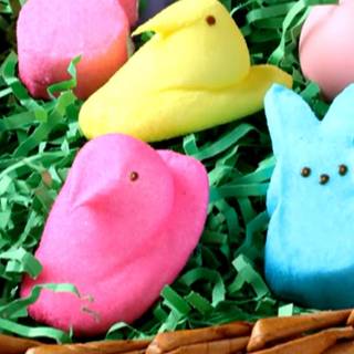Easter Peeps wallpaper
