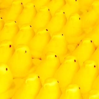 Easter Peeps wallpaper