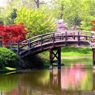 Pretty spring scenery wallpaper