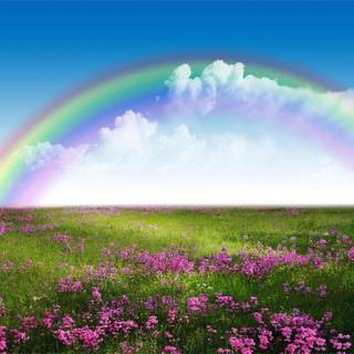 Spring rainbow sky wallpaper