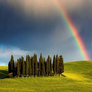 Spring rainbow sky wallpaper