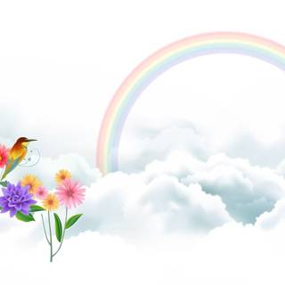 Spring rainbow sky wallpaper