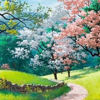 Spring anime landscape mobile wallpaper