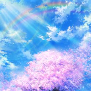 Spring rainbow sky wallpaper