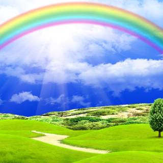 Spring rainbow sky wallpaper
