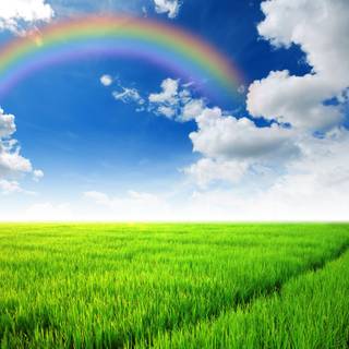 Spring rainbow sky wallpaper