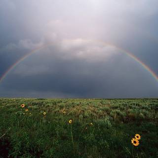 Spring rainbow sky wallpaper