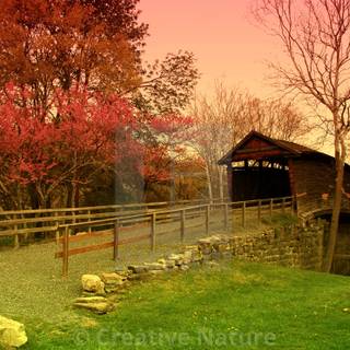 Spring covered bridges wallpaper