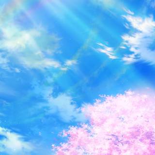 Spring rainbow sky wallpaper