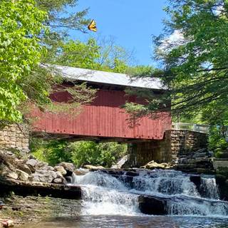 Spring covered bridges wallpaper