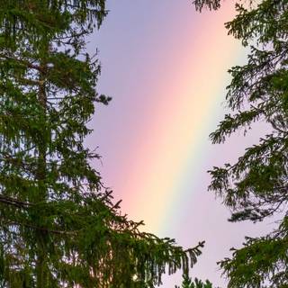 Spring rainbow sky wallpaper
