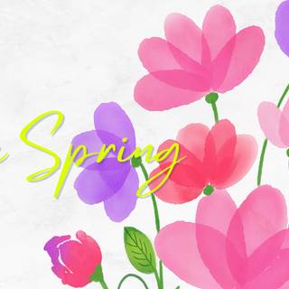 Minimal spring desktop wallpaper