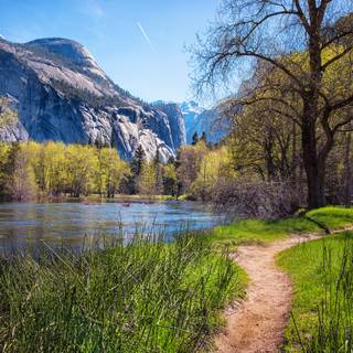 Spring trail wallpaper