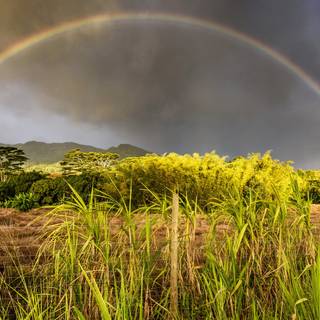 Spring rainbow sky wallpaper