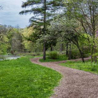 Spring trail wallpaper