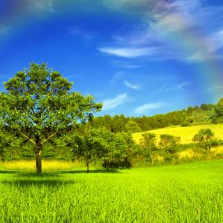 Spring rainbow sky wallpaper
