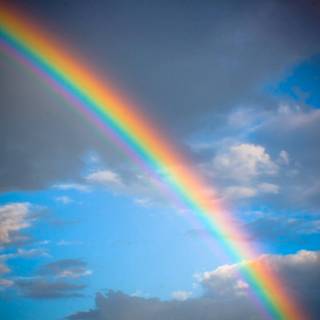 Spring rainbow sky wallpaper