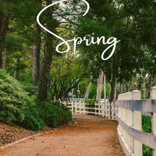 Spring trail wallpaper