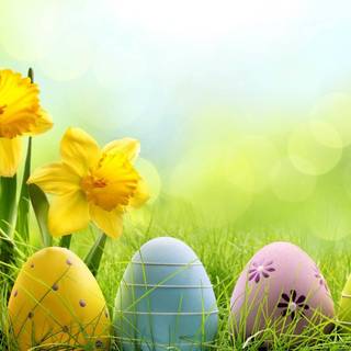 Yellow Easter aesthetic wallpaper