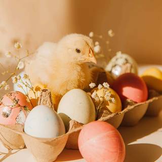 Preppy Easter desktop wallpaper