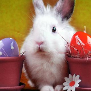 Easter bunny 2023 wallpaper