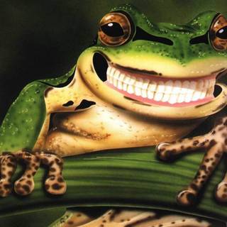 Frog drawings wallpaper