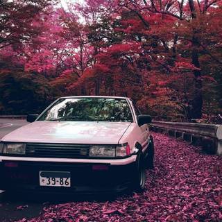 Pink JDM car wallpaper