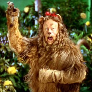 The Cowardly Lion wallpaper