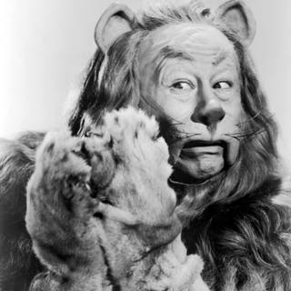 The Cowardly Lion wallpaper