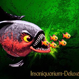 Insaniquarium wallpaper