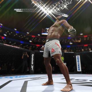 EA Sports UFC 4 HD wallpaper